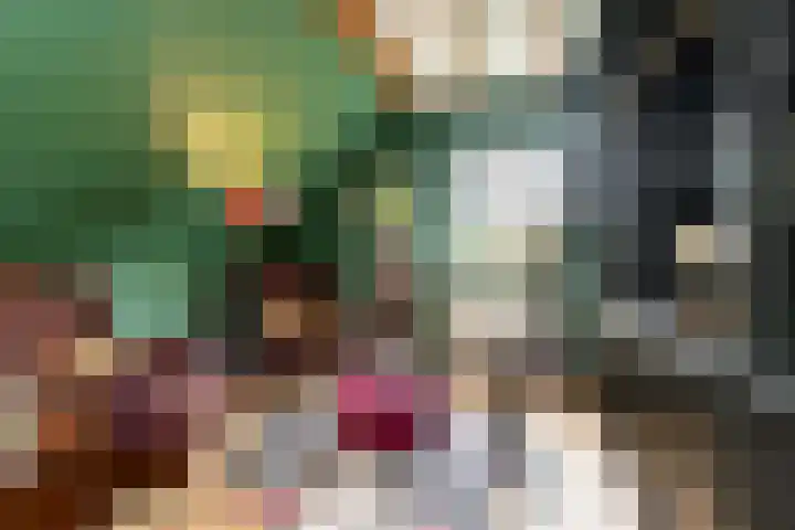 Vornstraat 2 Zuilichem thumbnail 41