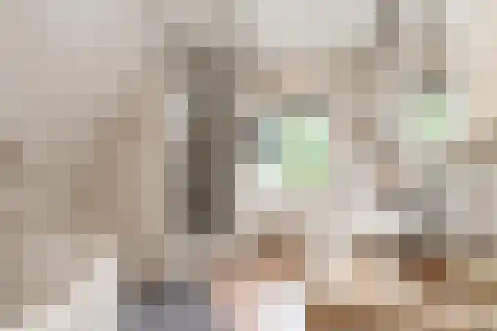 Vornstraat 2 Zuilichem thumbnail 47