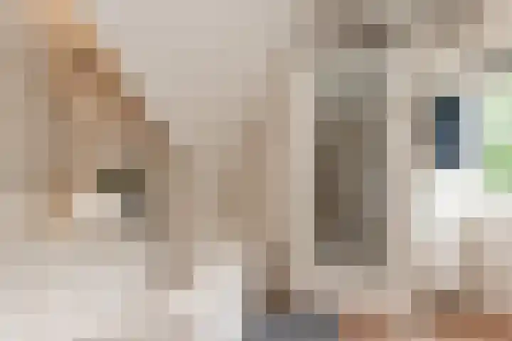 Vornstraat 2 Zuilichem thumbnail 48