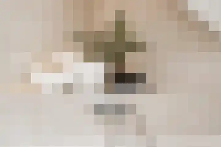 Vornstraat 2 Zuilichem thumbnail 50