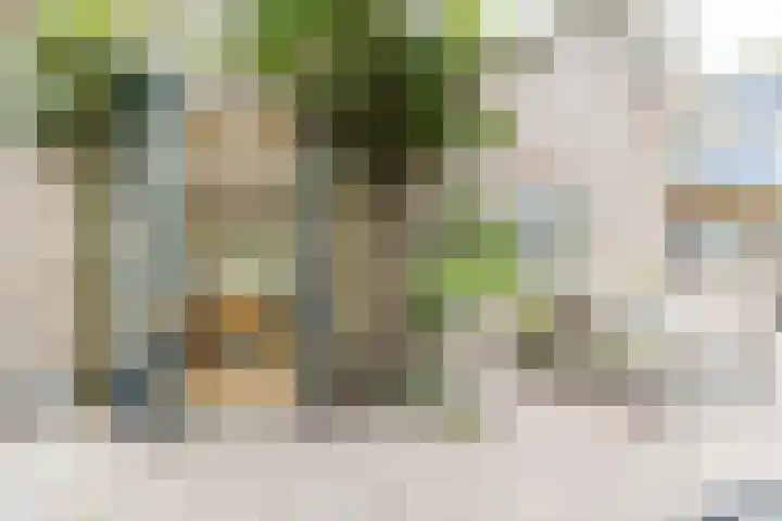 Vornstraat 2 Zuilichem thumbnail 55