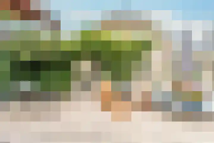 Vornstraat 2 Zuilichem thumbnail 60