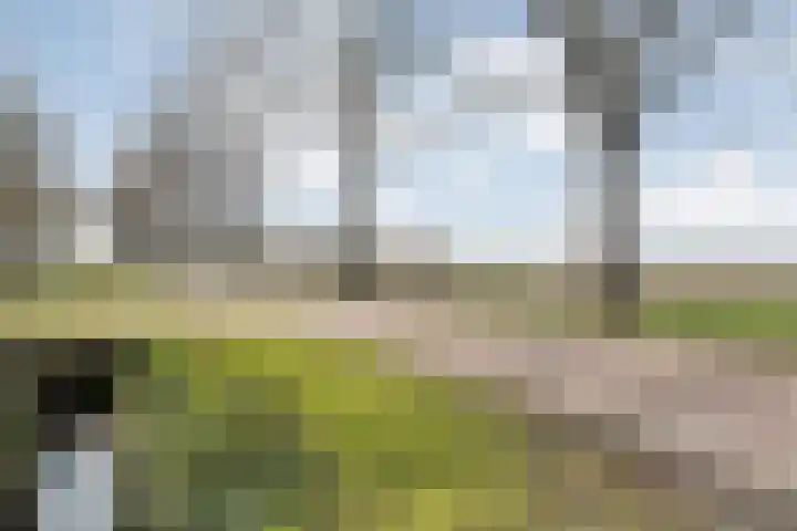 Vorrelveen 12 A Beilen thumbnail 11