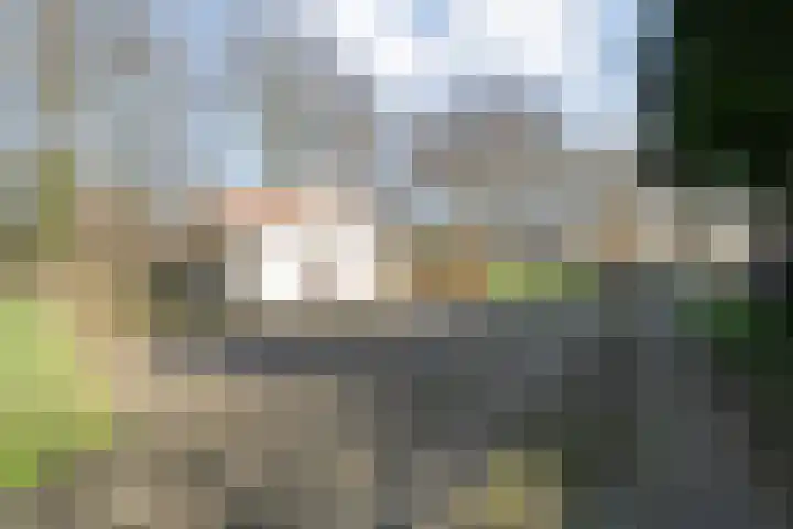 Vorrelveen 12 A Beilen thumbnail 15