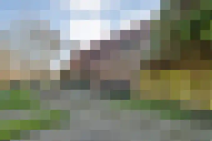 Vorrelveen 12 A Beilen thumbnail 16