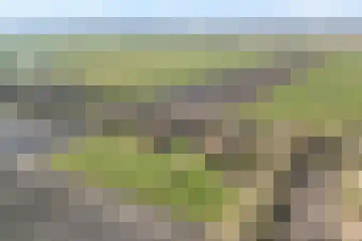 Vorrelveen 12 A Beilen thumbnail 6