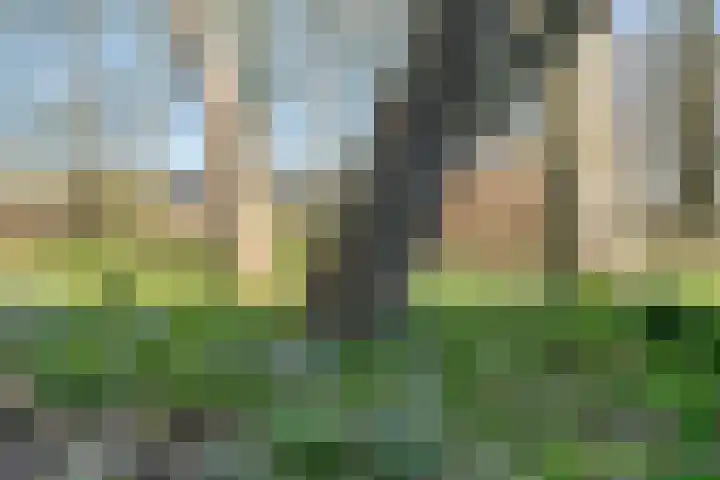Vorrelveen 12 A Beilen thumbnail 61