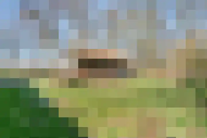 Vorrelveen 12 A Beilen thumbnail 62