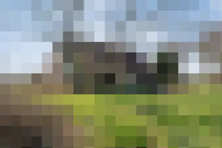 Vorrelveen 12 A Beilen thumbnail 63