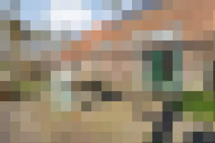 Vorrelveen 12 A Beilen thumbnail 68