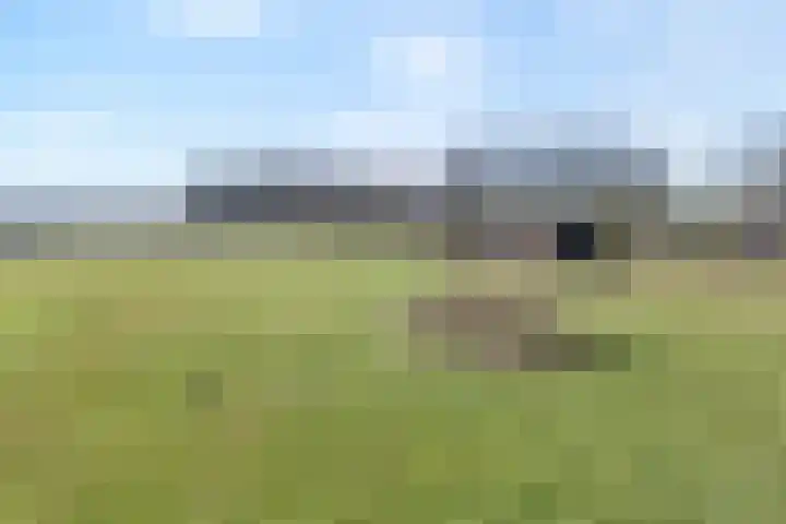 Vorrelveen 12 A Beilen thumbnail 7