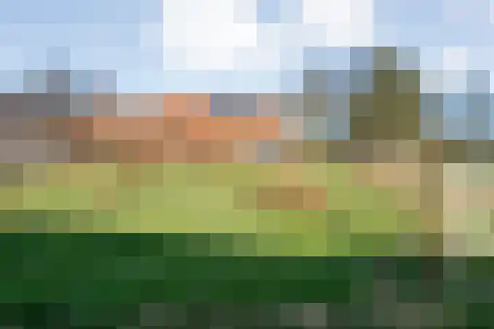 Vorrelveen 12 A Beilen thumbnail 71