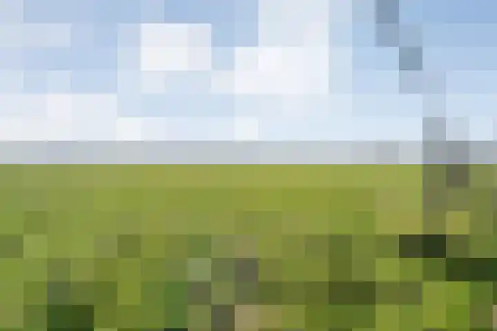 Vorrelveen 12 A Beilen thumbnail 72
