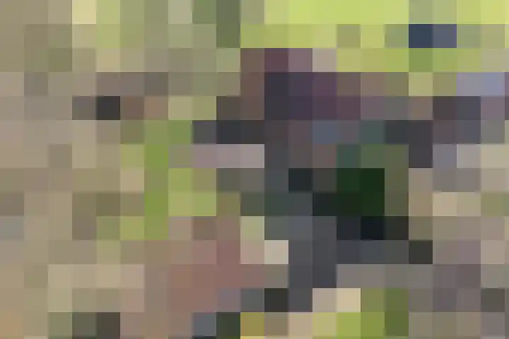 Vorrelveen 12 A Beilen thumbnail 9