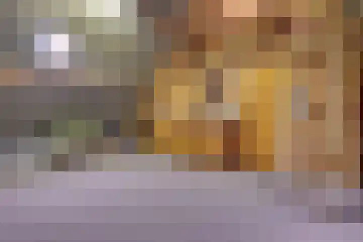 Vorsterdijk 10 Nuenen thumbnail 31
