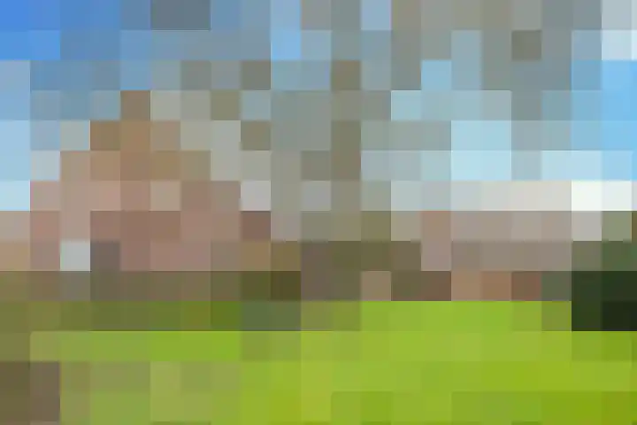 Vorsterdijk 10 Nuenen thumbnail 41