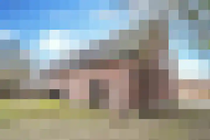Vorsterdijk 10 Nuenen thumbnail 6