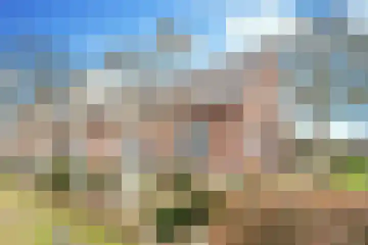 Vorsterdijk 10 Nuenen thumbnail 7