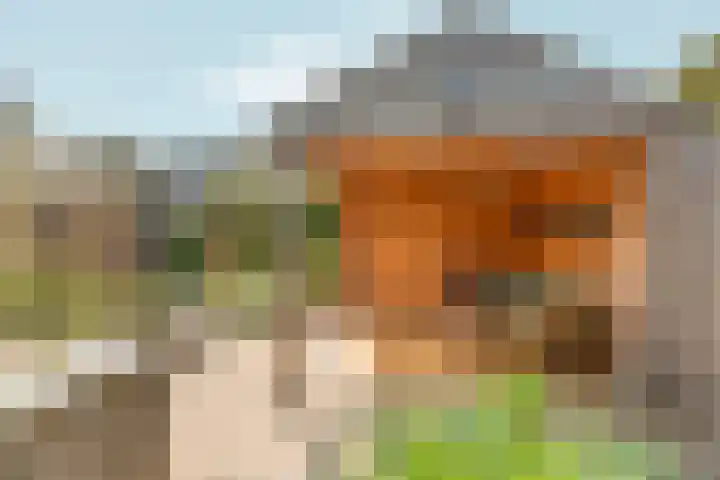 Vorsterstraat 29 Rheden thumbnail 33