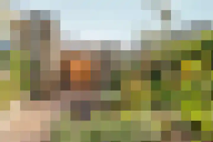 Vorsterstraat 29 Rheden thumbnail 35