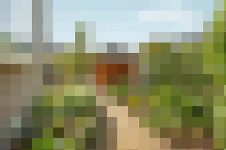 Vorsterstraat 29 Rheden thumbnail 40
