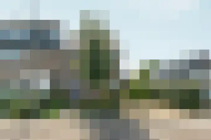 Vorsterstraat 29 Rheden thumbnail 42