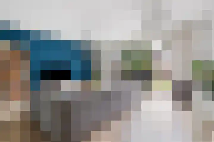 Vos 65 Veldhoven thumbnail 15