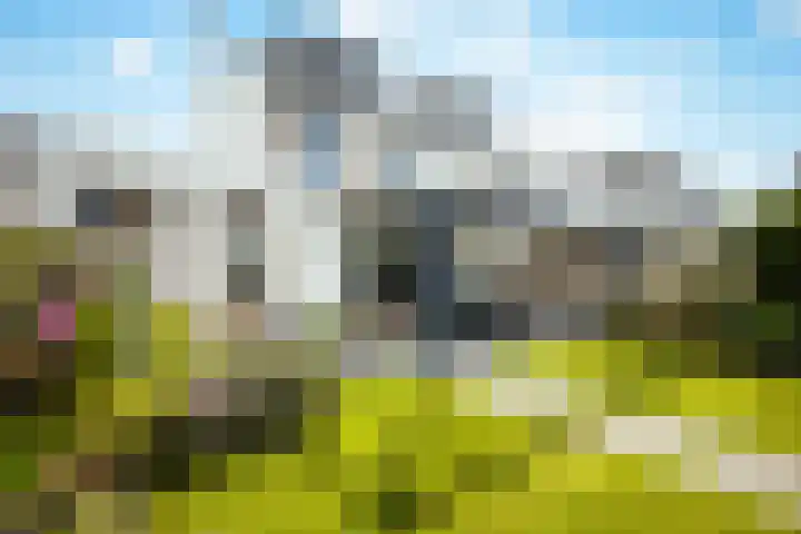 Vos 65 Veldhoven thumbnail 39