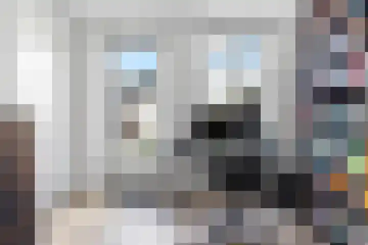 Vos 65 Veldhoven thumbnail 42