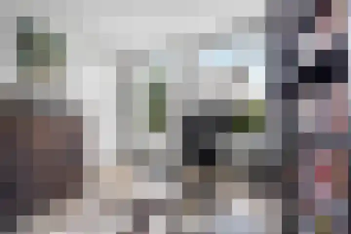 Vos 65 Veldhoven thumbnail 44