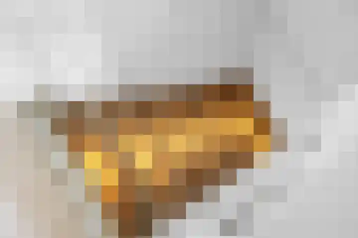 Vos 65 Veldhoven thumbnail 49