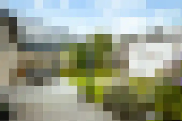 Vos 65 Veldhoven thumbnail 7