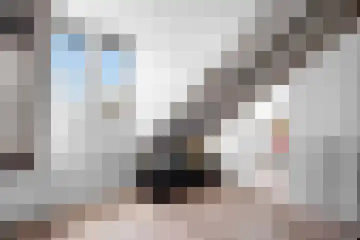 Vos 65 Veldhoven thumbnail 77