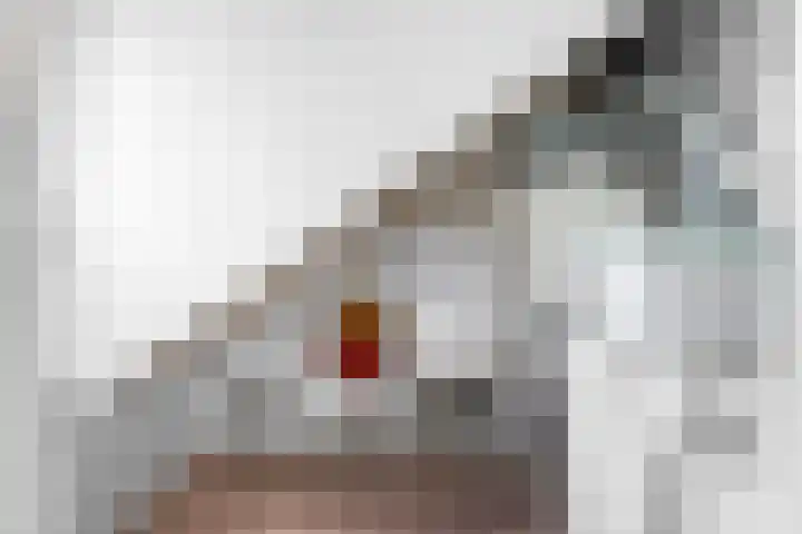 Vos 65 Veldhoven thumbnail 78