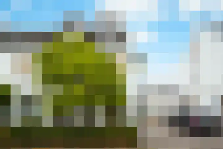 Vos 65 Veldhoven thumbnail 8