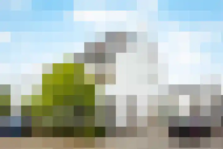 Vos 65 Veldhoven thumbnail 88