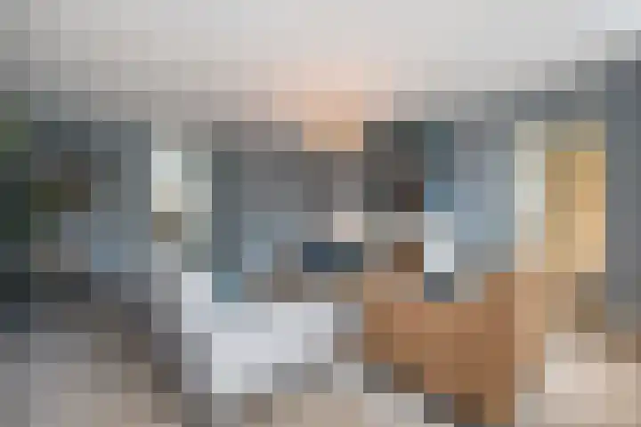 Vos 71 Veldhoven thumbnail 10