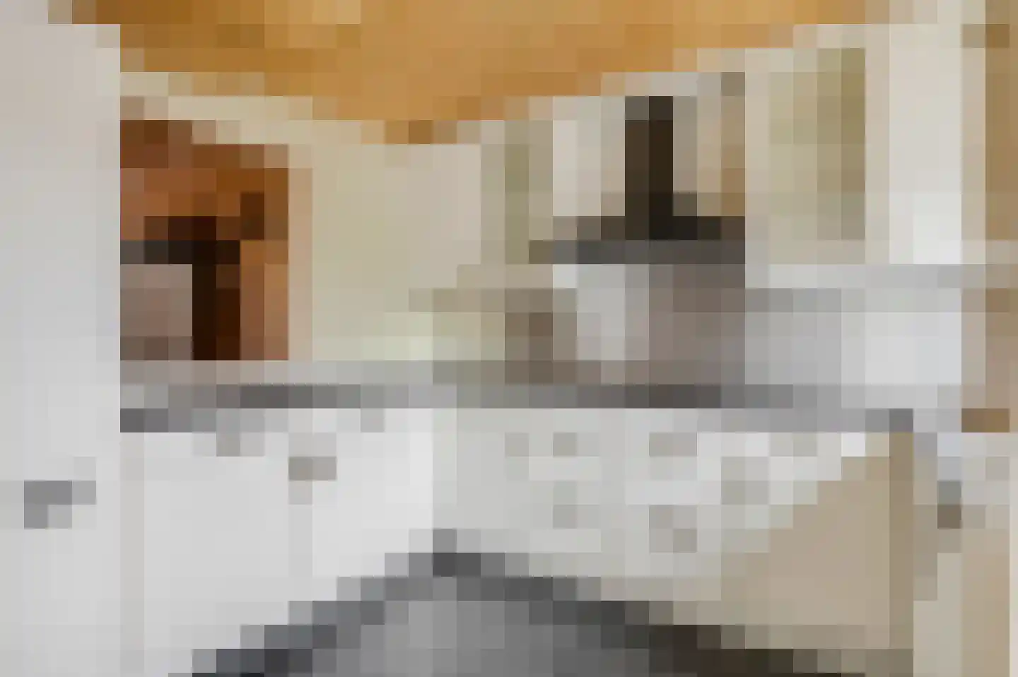Vos 71 Veldhoven thumbnail 20