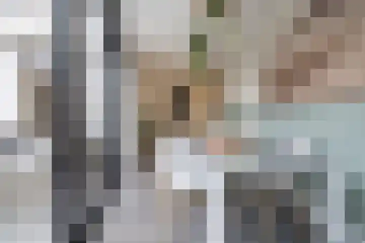 Vos 71 Veldhoven thumbnail 25