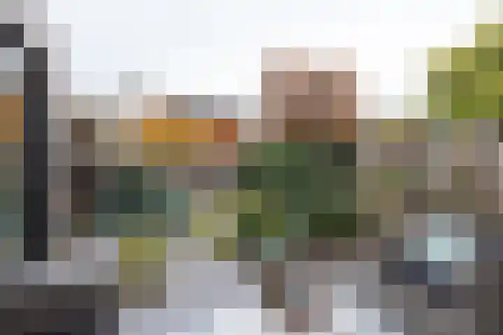 Vos 71 Veldhoven thumbnail 30