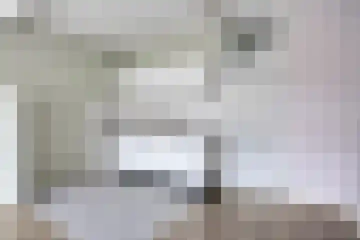 Vos 71 Veldhoven thumbnail 39