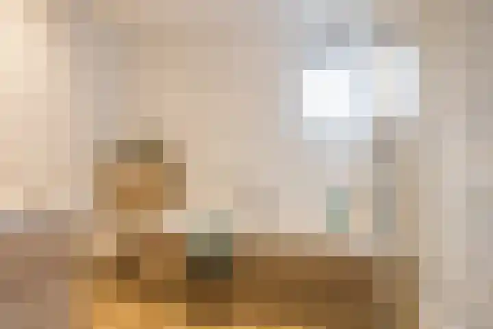 Vos 71 Veldhoven thumbnail 40