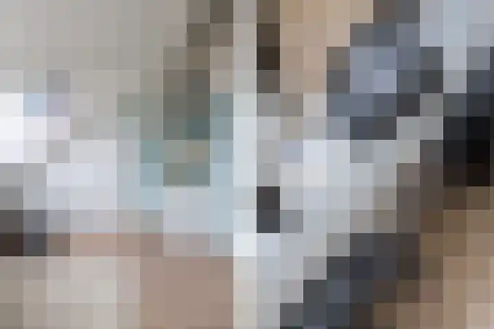 Vos 71 Veldhoven thumbnail 45