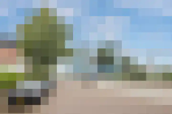 Vos 71 Veldhoven thumbnail 48