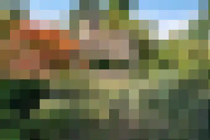 Vos 71 Veldhoven thumbnail 49