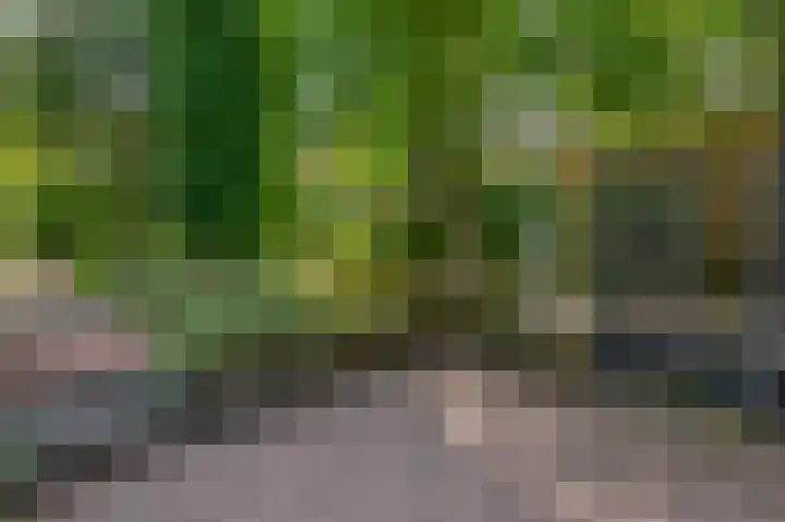 Logo Vos Makelaardij Ouderkerk b.v.