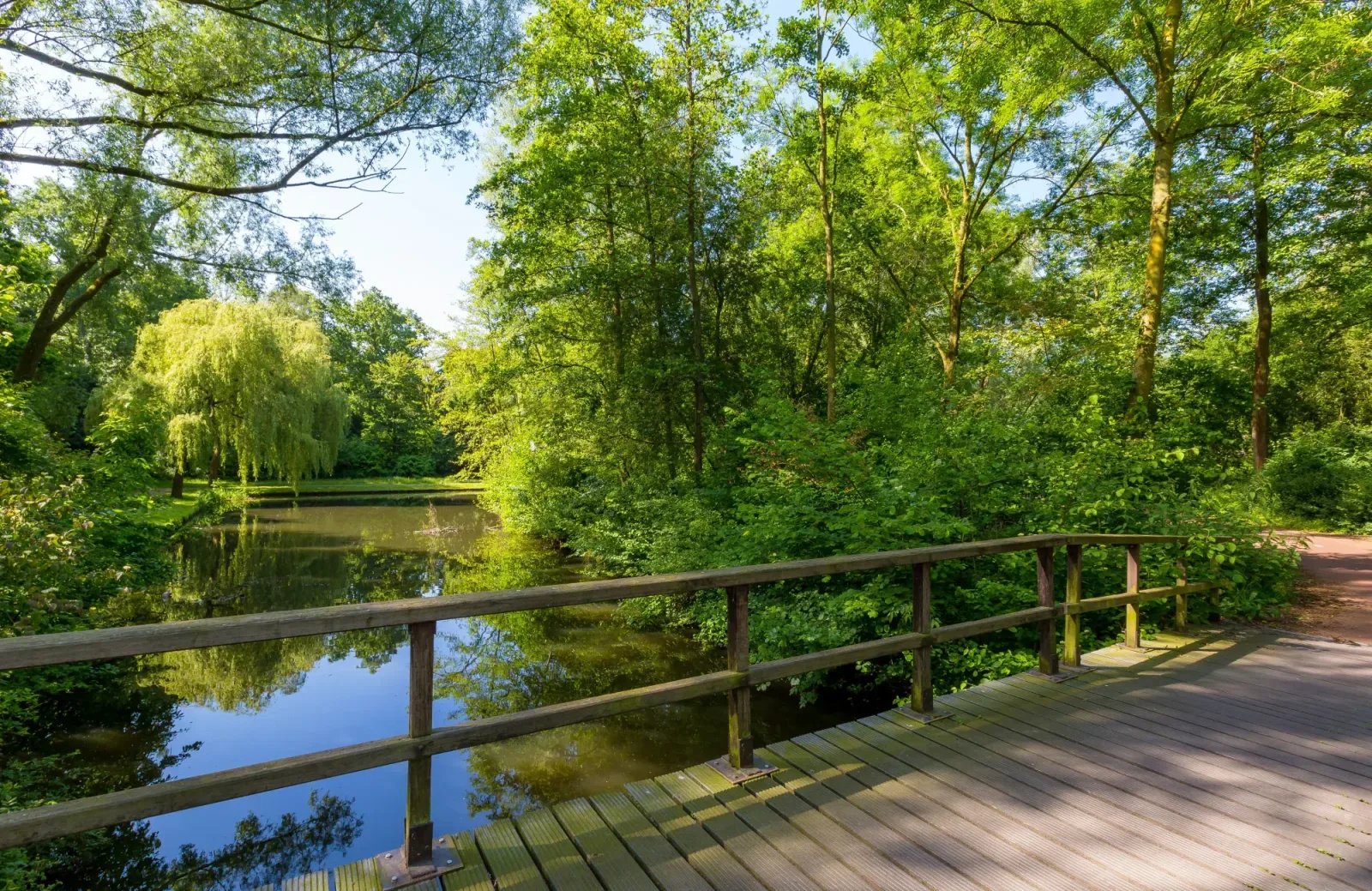 Team foto van Vos Makelaars