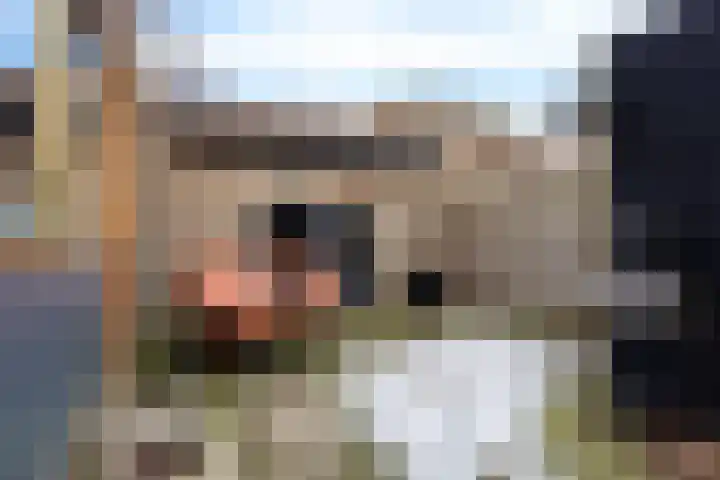 Vosackers 41 Emmen thumbnail 32