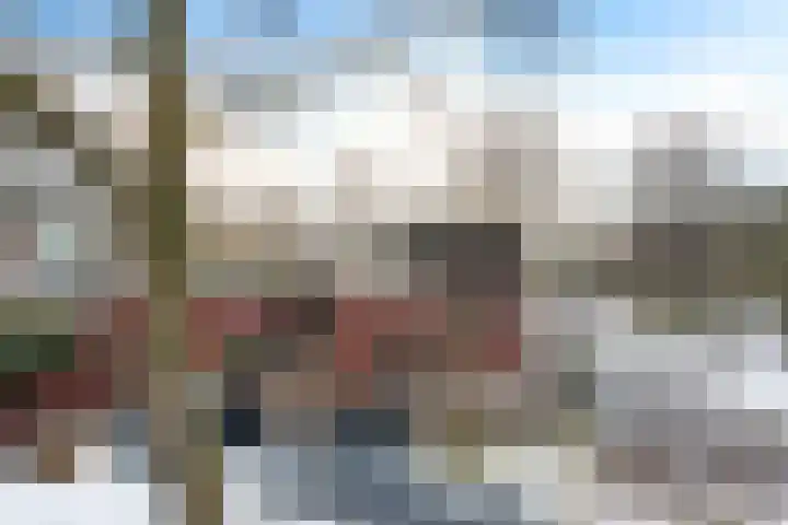 Vosackers 41 Emmen thumbnail 37