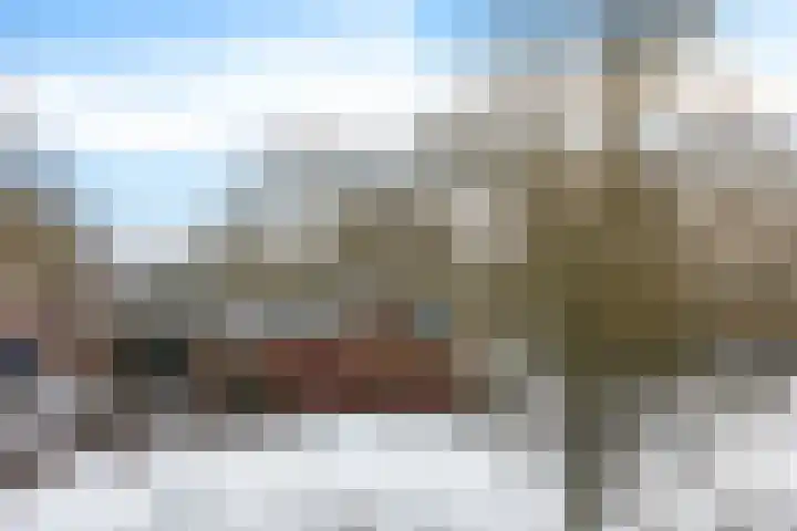 Vosackers 41 Emmen thumbnail 38